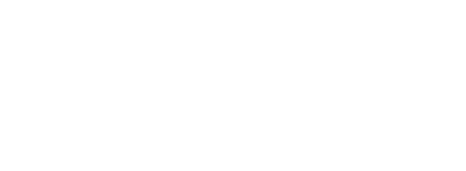SF promet - Usluge prijevoza